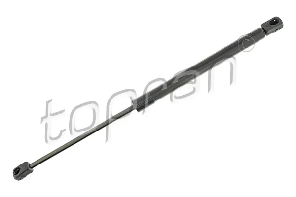 Gas Spring, boot/cargo area