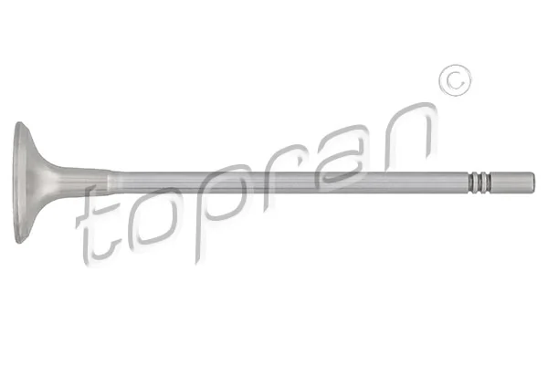 Exhaust Valve