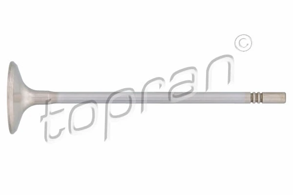 Intake Valve