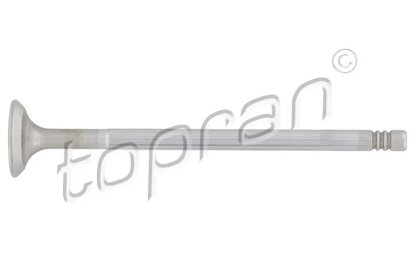 Intake Valve
