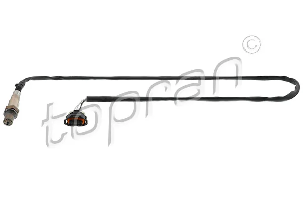 Oxygen Sensor