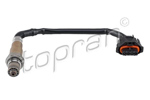 Oxygen Sensor