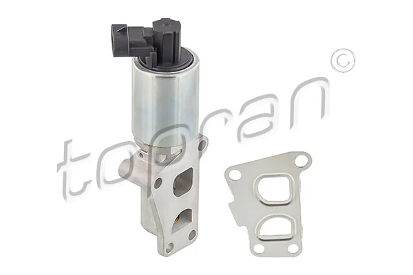 EGR Valve