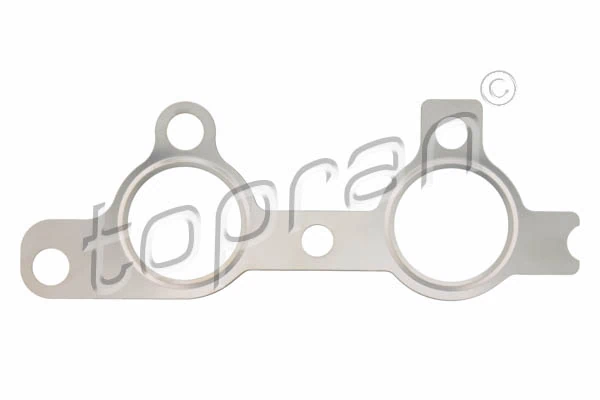 Gasket, exhaust manifold
