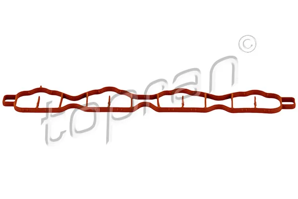Gasket, intake manifold