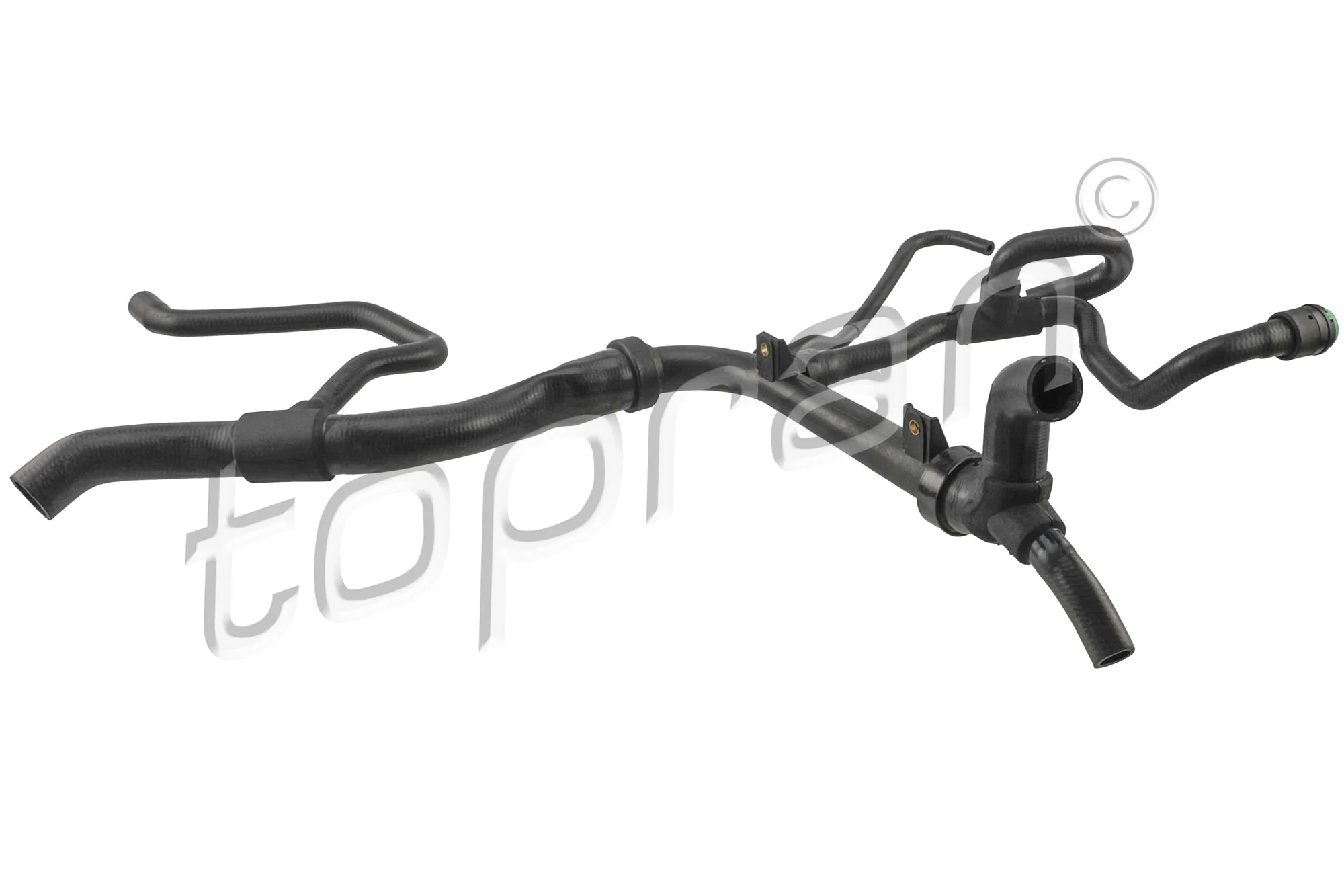 Radiator Hose