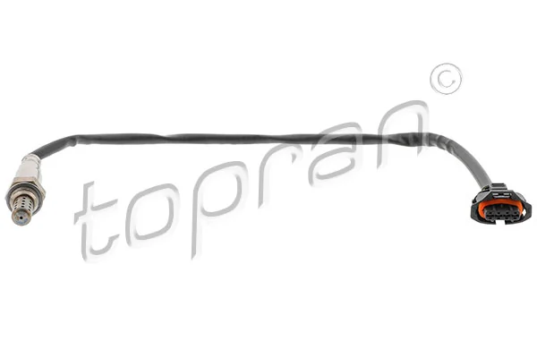 Oxygen Sensor
