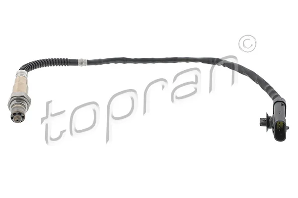 Oxygen Sensor