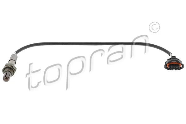 Oxygen Sensor