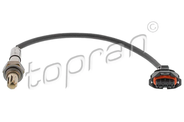 Oxygen Sensor