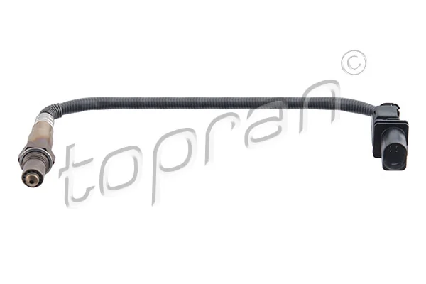 Oxygen Sensor