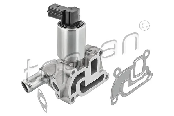 EGR Valve