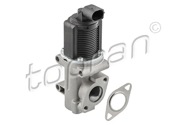 EGR Valve