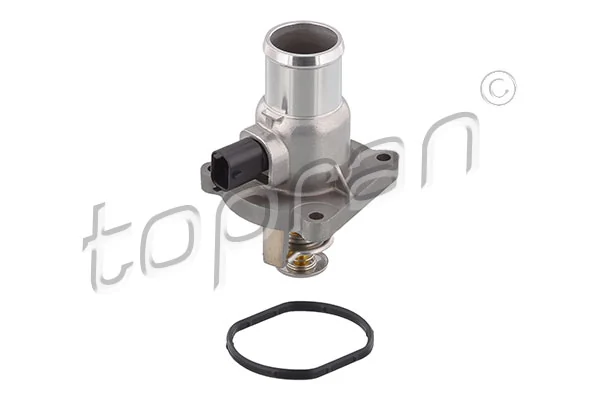 Thermostat, coolant