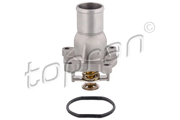 Thermostat, coolant