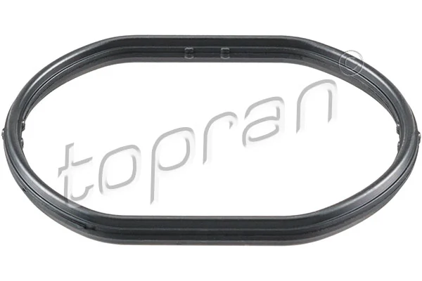 Gasket, thermostat housing