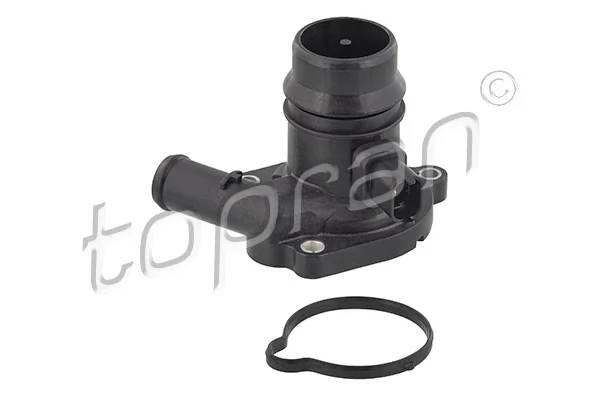 Thermostat, coolant