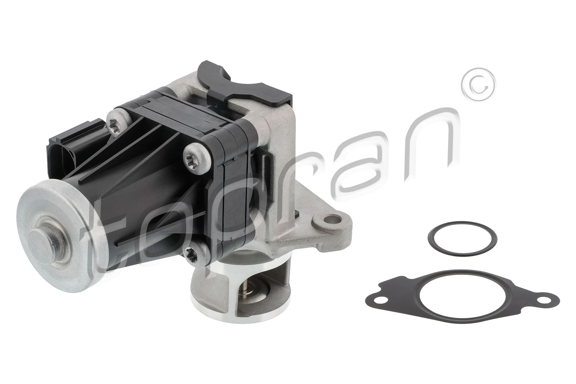 EGR Valve