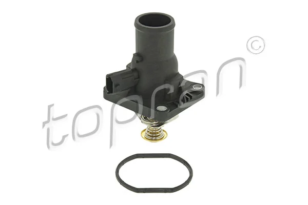 Thermostat, coolant