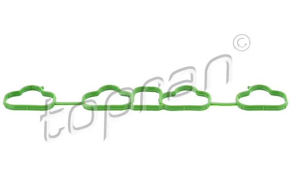 Gasket, intake manifold