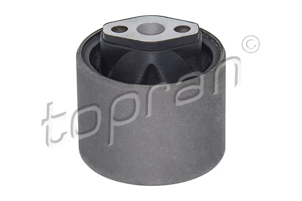 Mounting, control/trailing arm