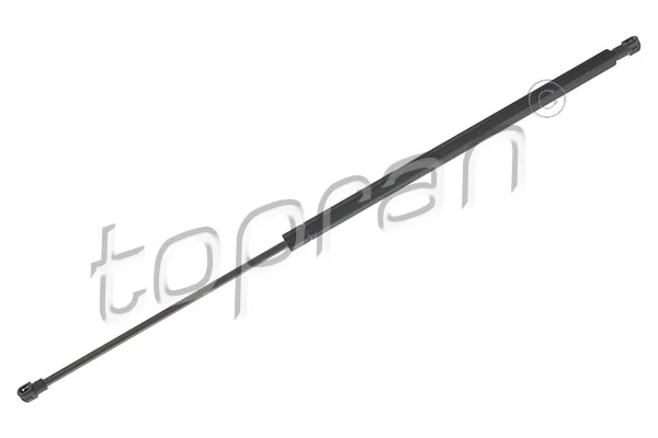 Gas Spring, boot/cargo area