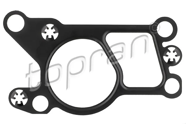 Gasket, EGR valve