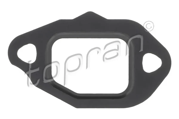 Gasket, EGR valve