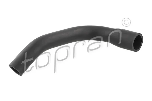 Hose, cylinder head cover ventilation