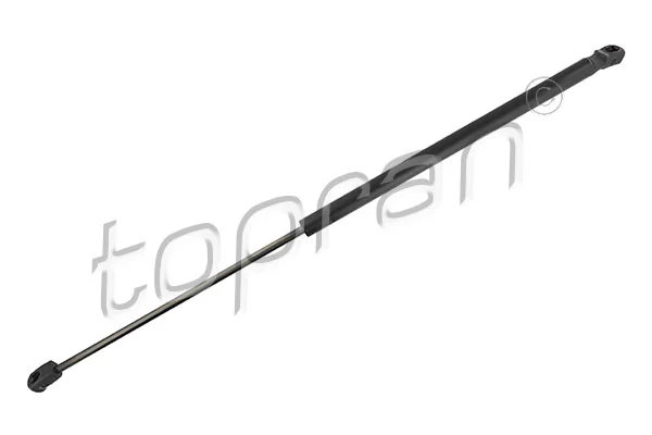Gas Spring, boot/cargo area