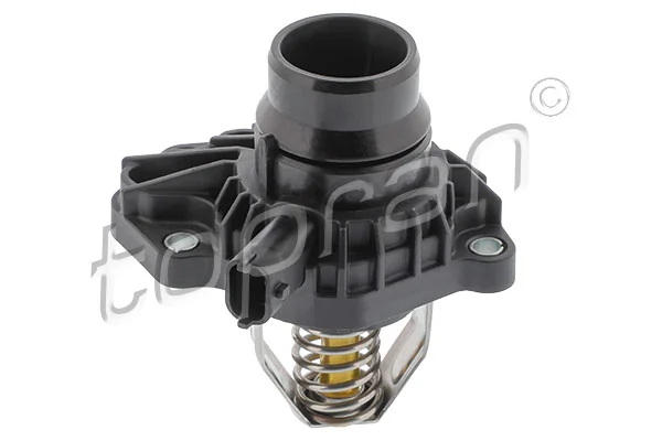 Thermostat, coolant