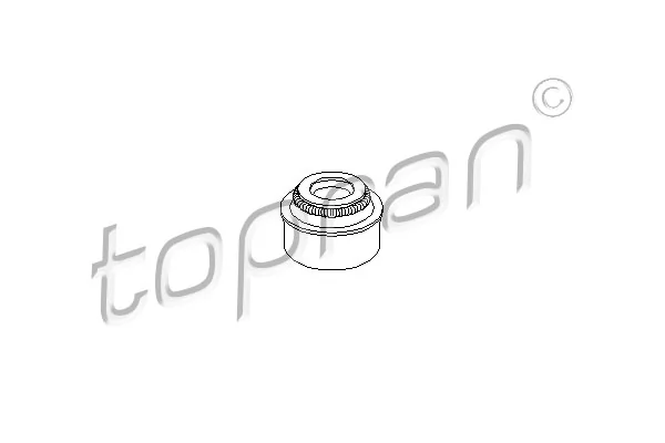Seal Ring, valve stem