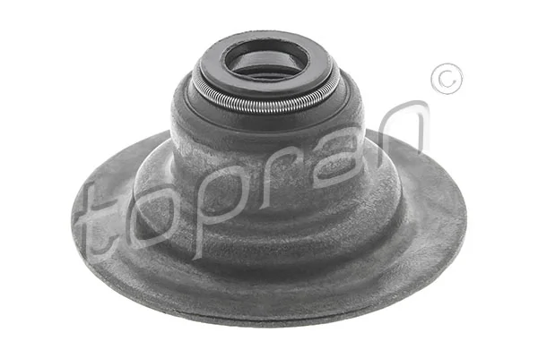 Seal Ring, valve stem