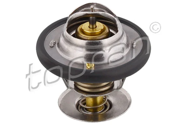 Thermostat, coolant