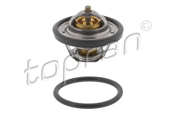 Thermostat, coolant