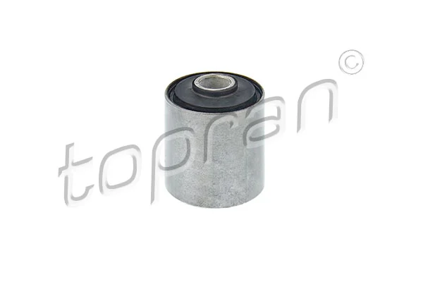 Bushing, leaf spring