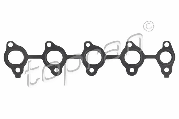 Gasket, exhaust manifold