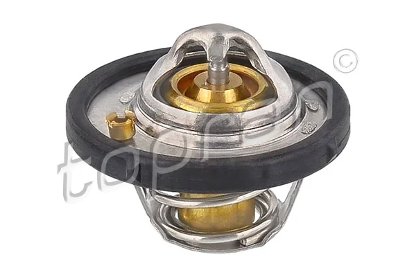 Thermostat, coolant