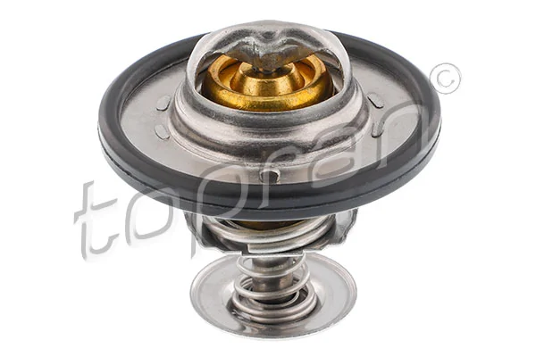 Thermostat, coolant
