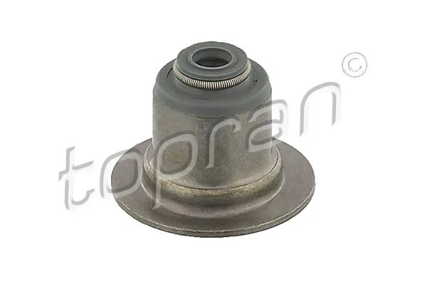 Seal Ring, valve stem