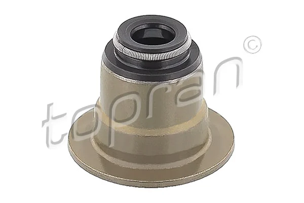 Seal Ring, valve stem