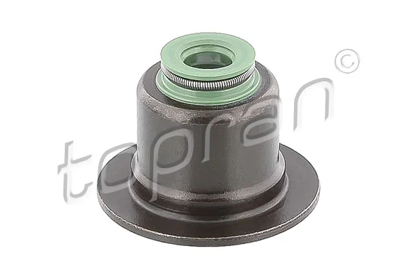 Seal Ring, valve stem