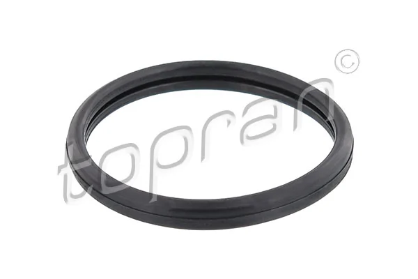 Seal, thermostat