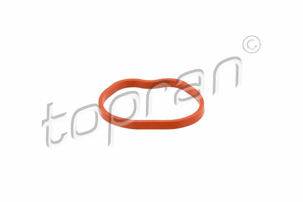 Gasket, intake manifold