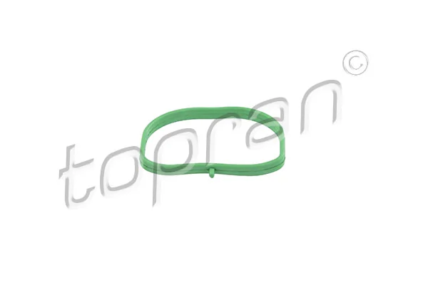 Gasket, intake manifold