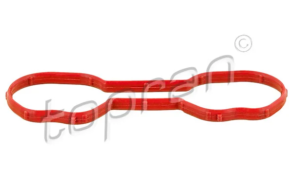 Gasket, intake manifold