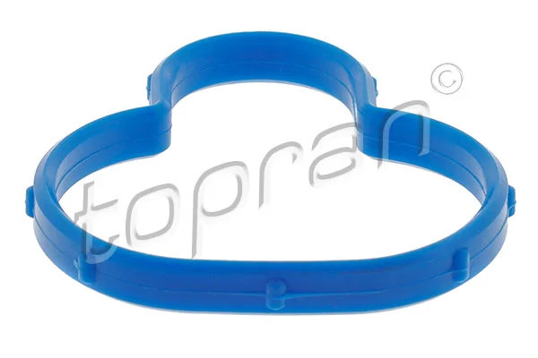 Gasket, intake manifold