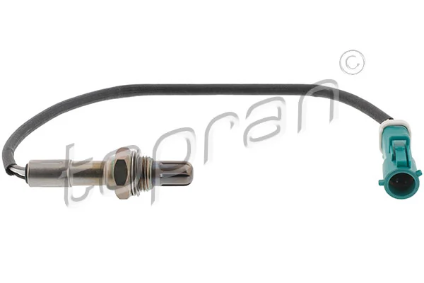 Oxygen Sensor