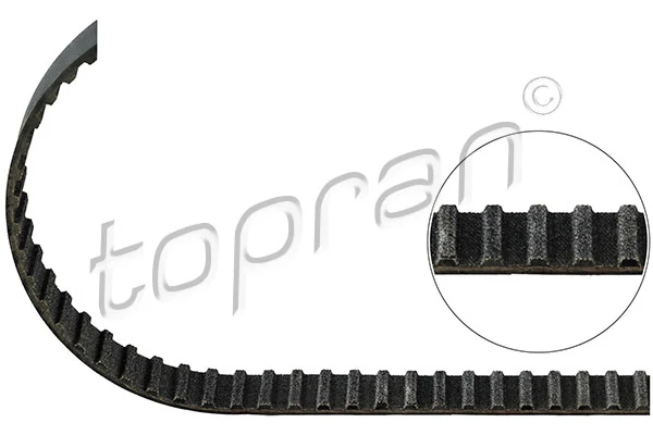 Timing Belt