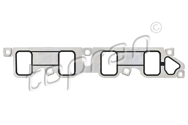 Gasket, intake manifold